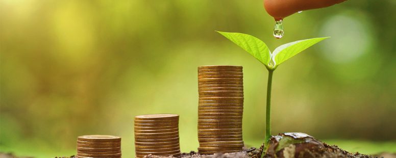investimenti in campo green, es. startup ecologiche